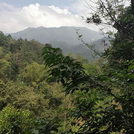 Moselberg Riverside Cottages Munnar Kamer foto