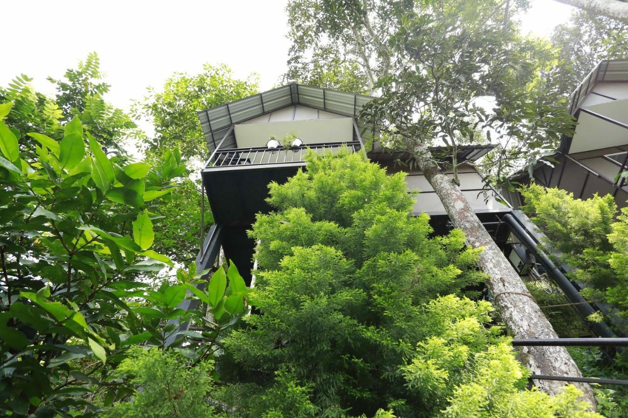 Moselberg Riverside Cottages Munnar Buitenkant foto