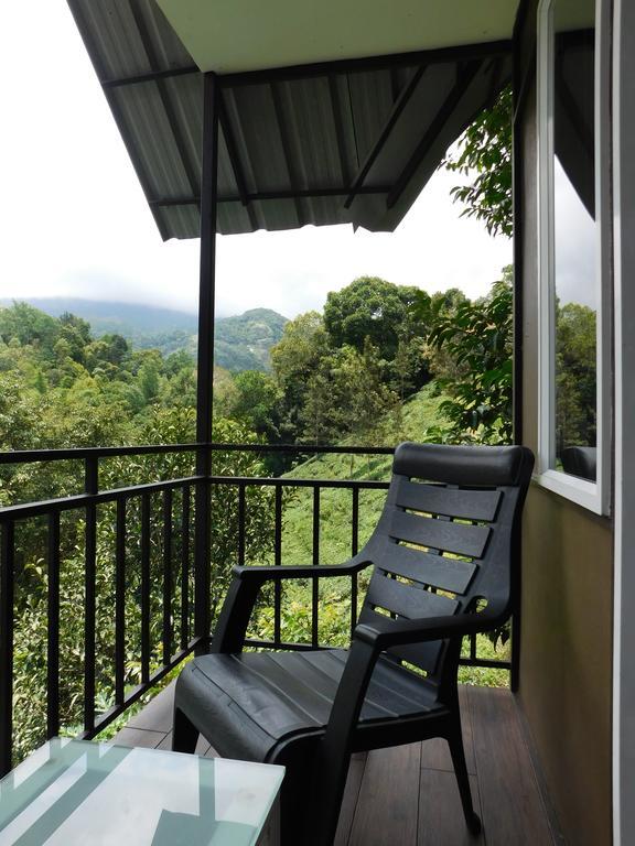 Moselberg Riverside Cottages Munnar Buitenkant foto