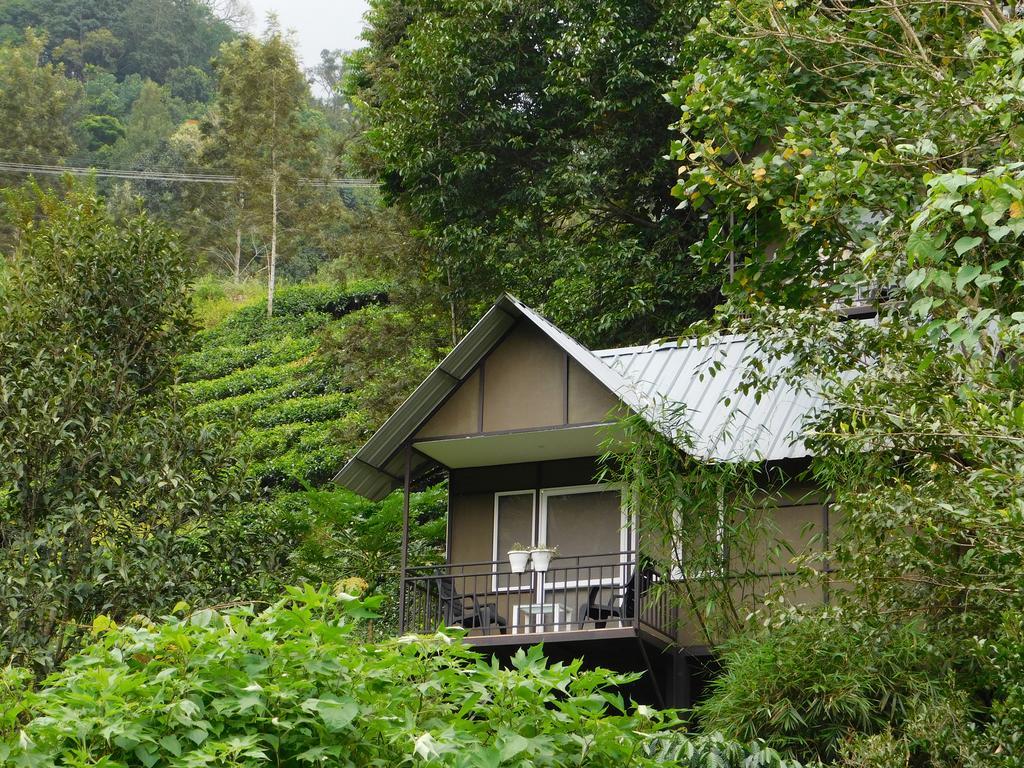 Moselberg Riverside Cottages Munnar Buitenkant foto